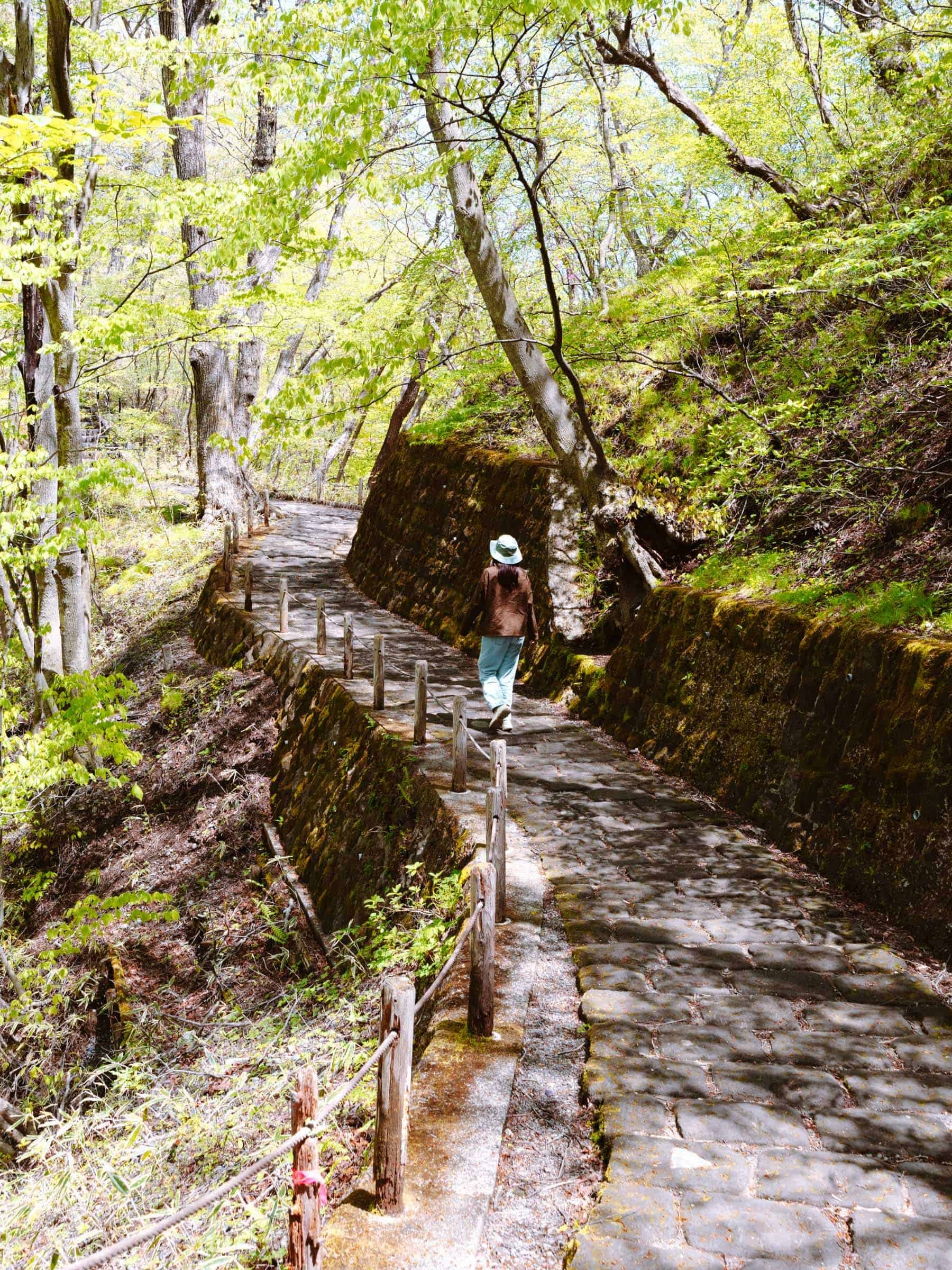 🏞️ 안개 내리는 폭포(키리후리노타키) 이미지 7